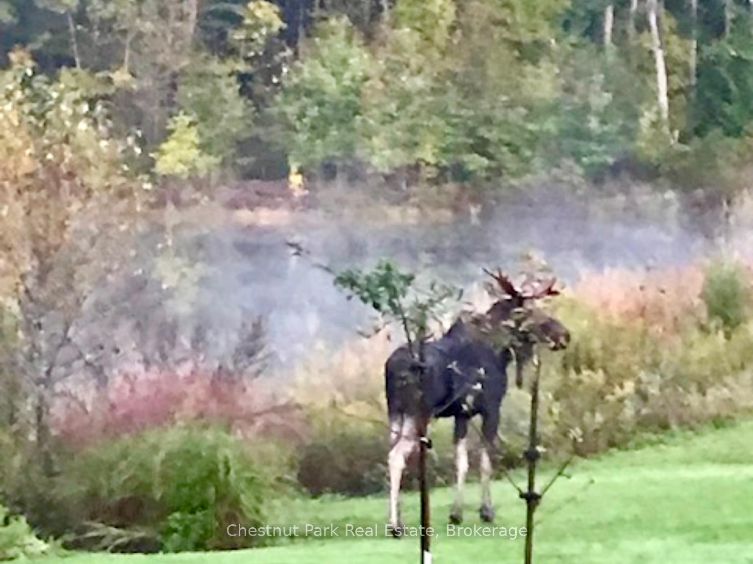 8 William James Court 28