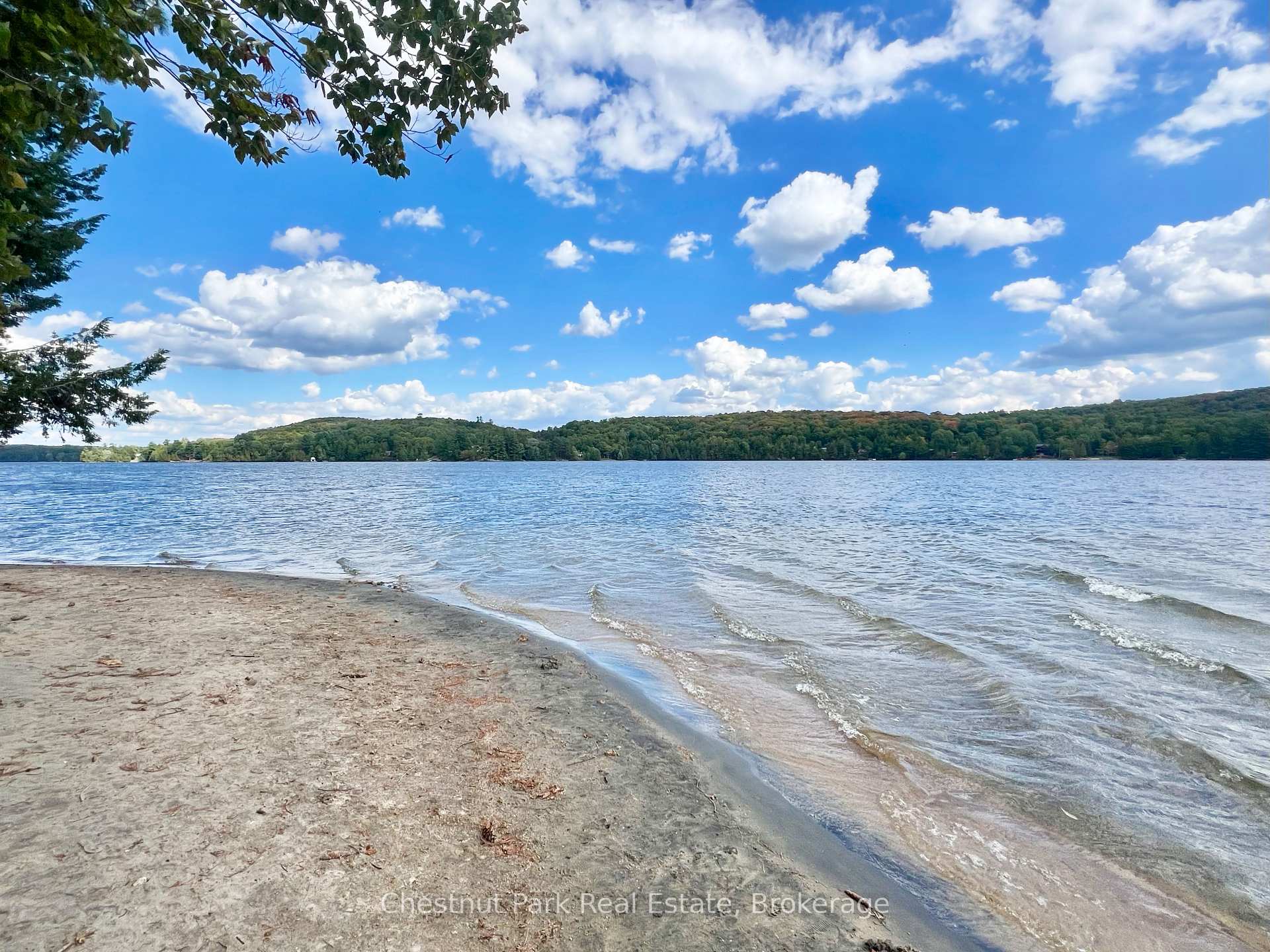 8 William James Court 28