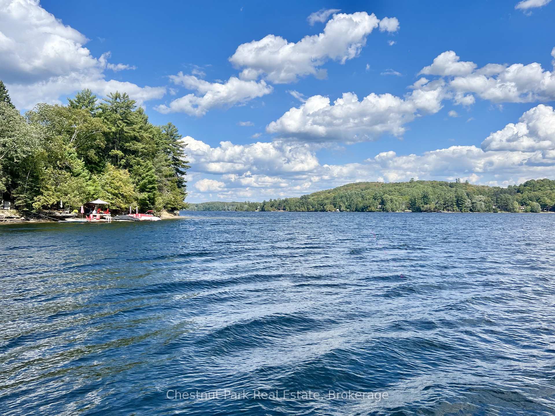 8 William James Court 28