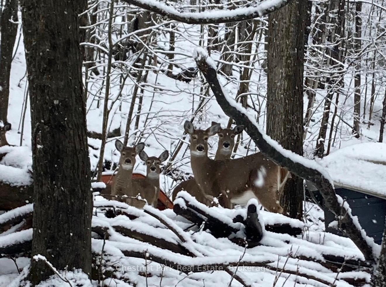 8 William James Court 28