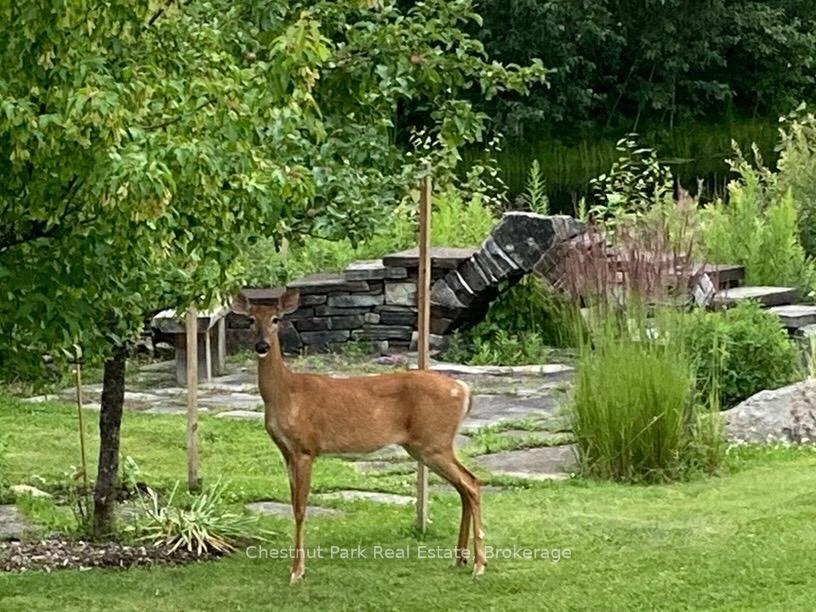 8 William James Court 28