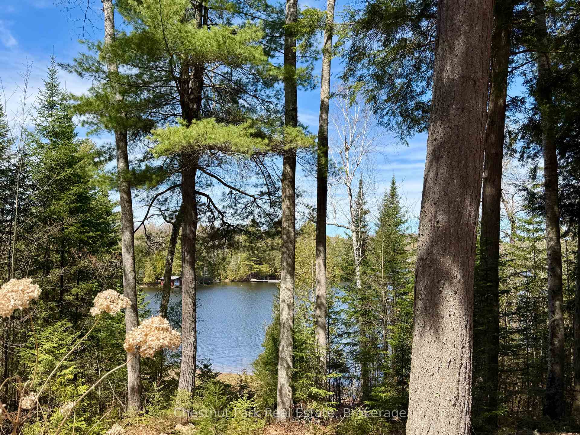 10453 County Road 503 Road