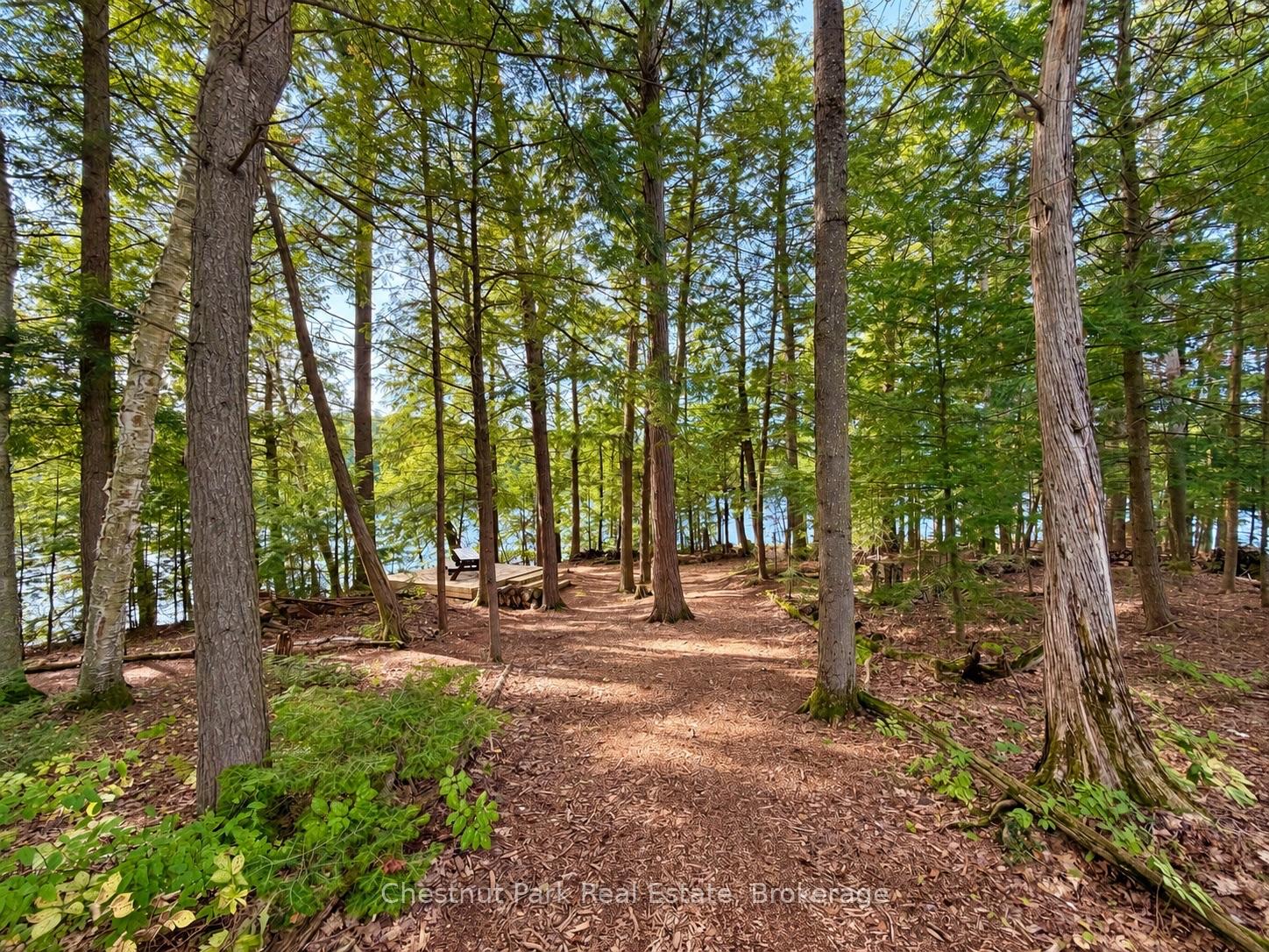 1304 Grandpa's Trail