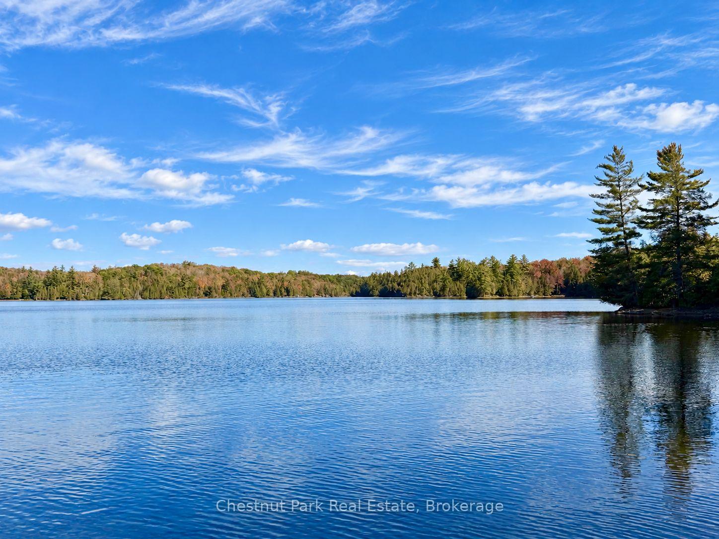 Lake with a wooded, autumn-colored shoreline beneath a broad blue sky.