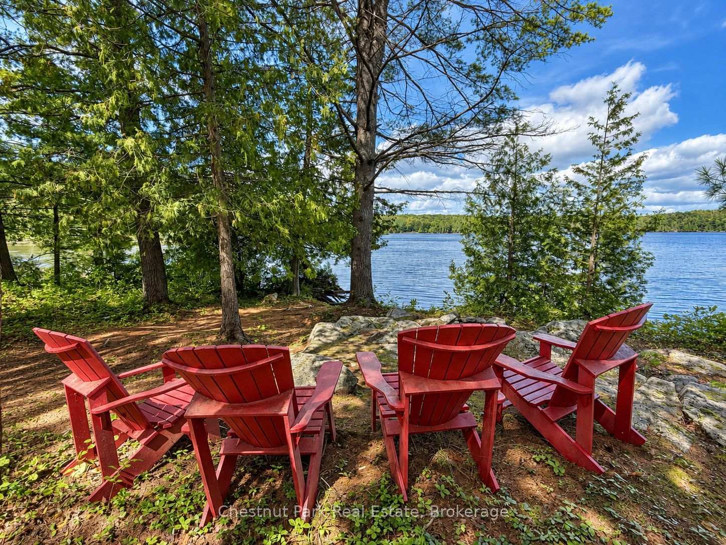 Red Adirondack chairs beneath trees overlooking the lake.