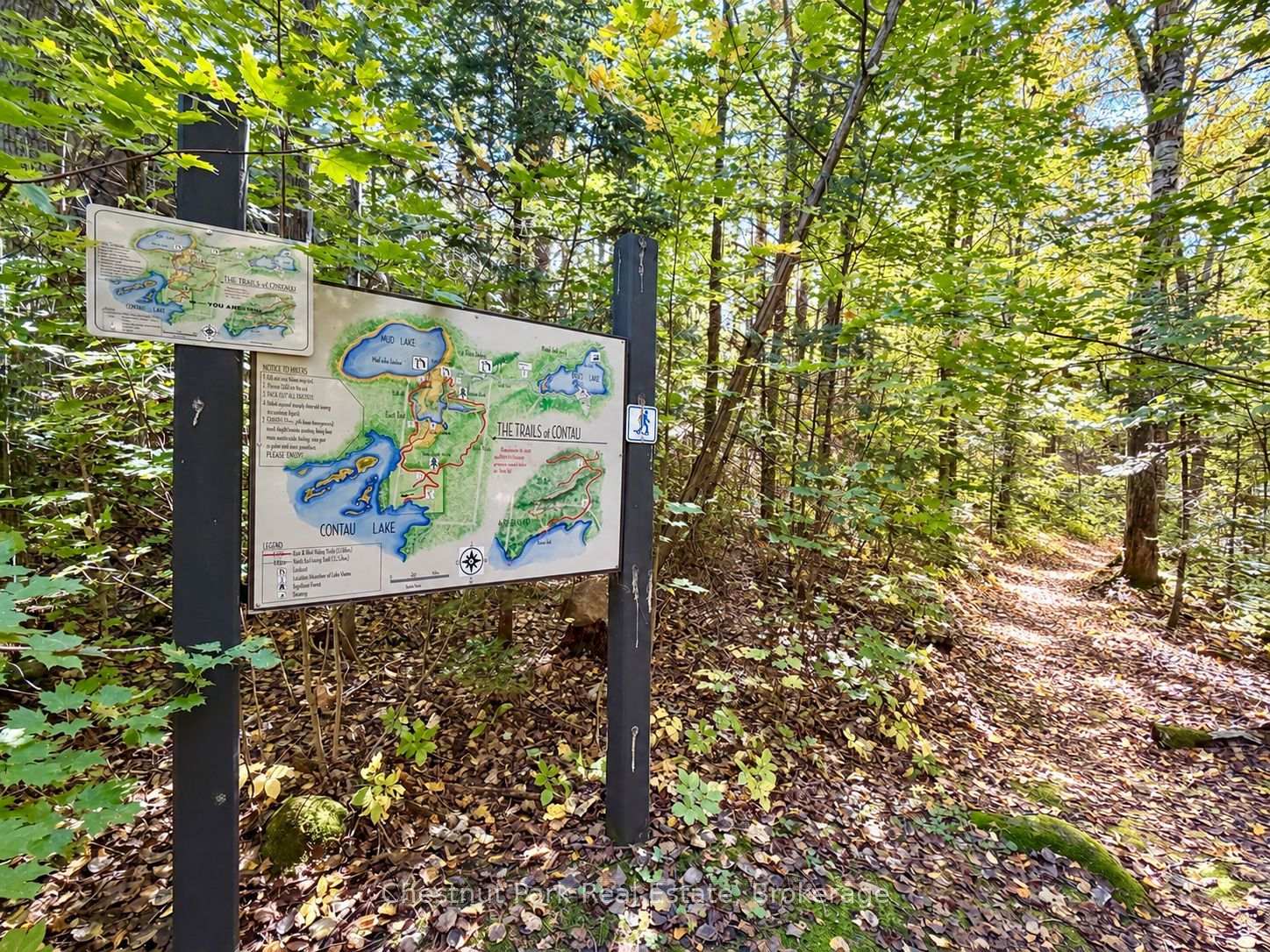 Woodland trailhead with a Trails of Contau map sign beside a leaf-covered path.