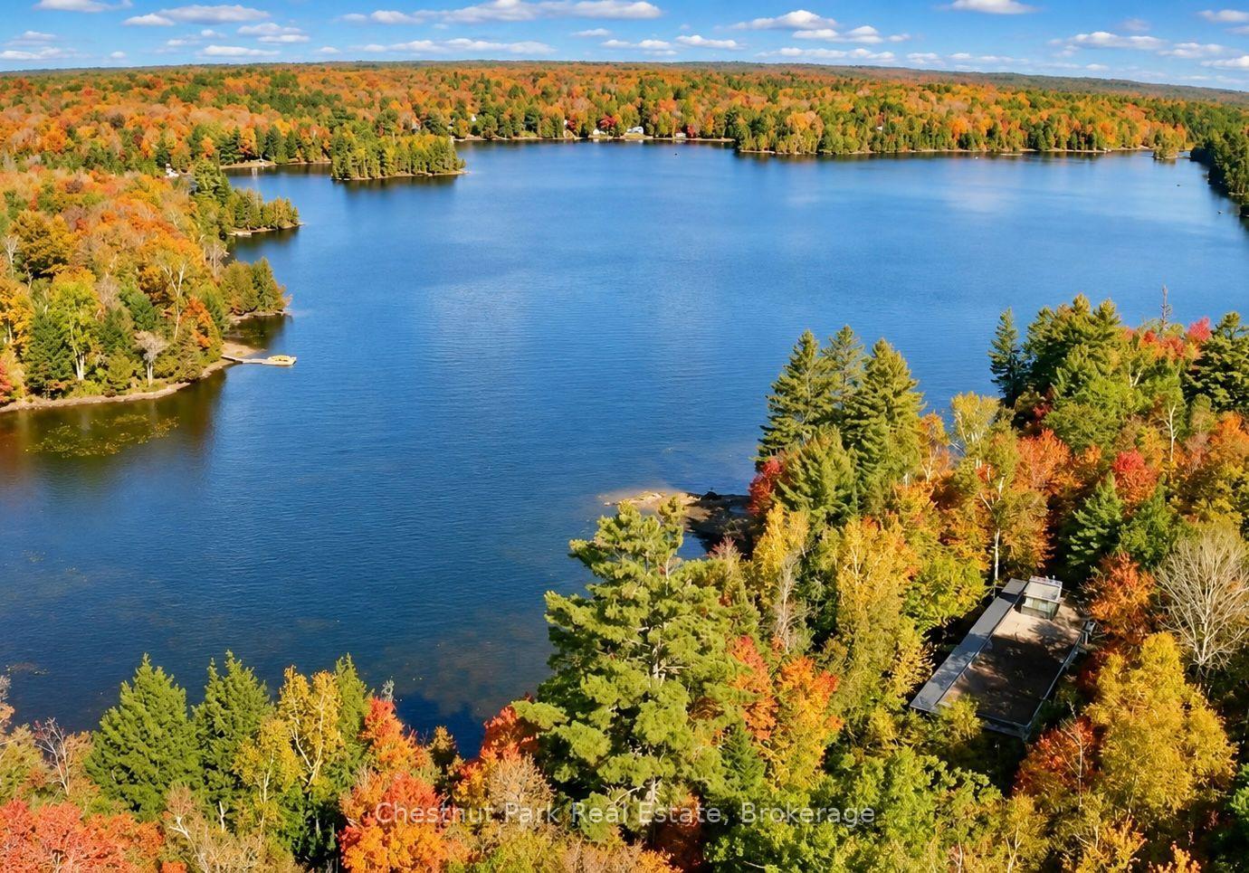 Aerial view of a lake bordered by colorful autumn forest, with a dock in the foreground.
