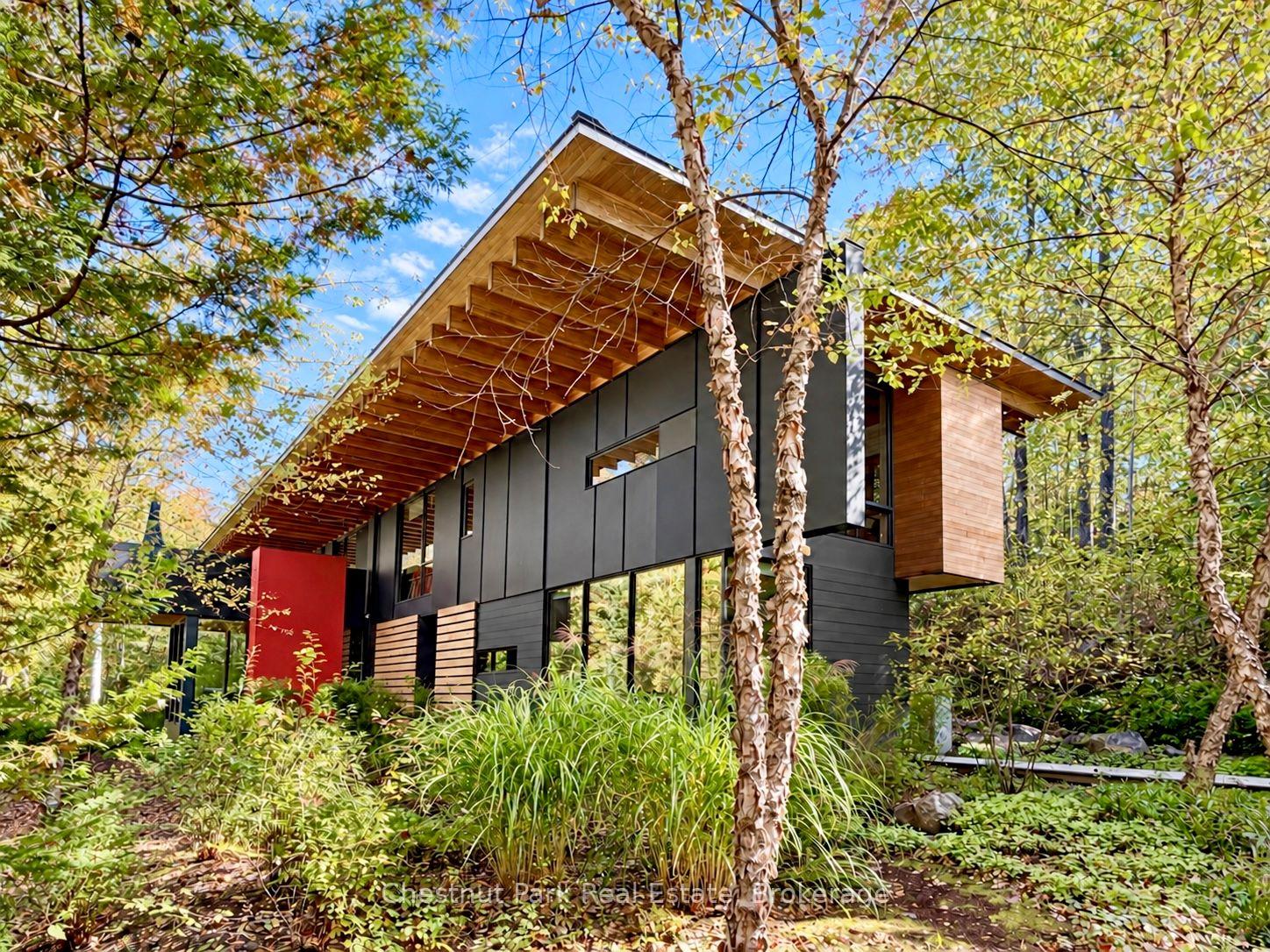 Modern charcoal-sided home with timber overhangs and red entry panel, framed by mature trees.