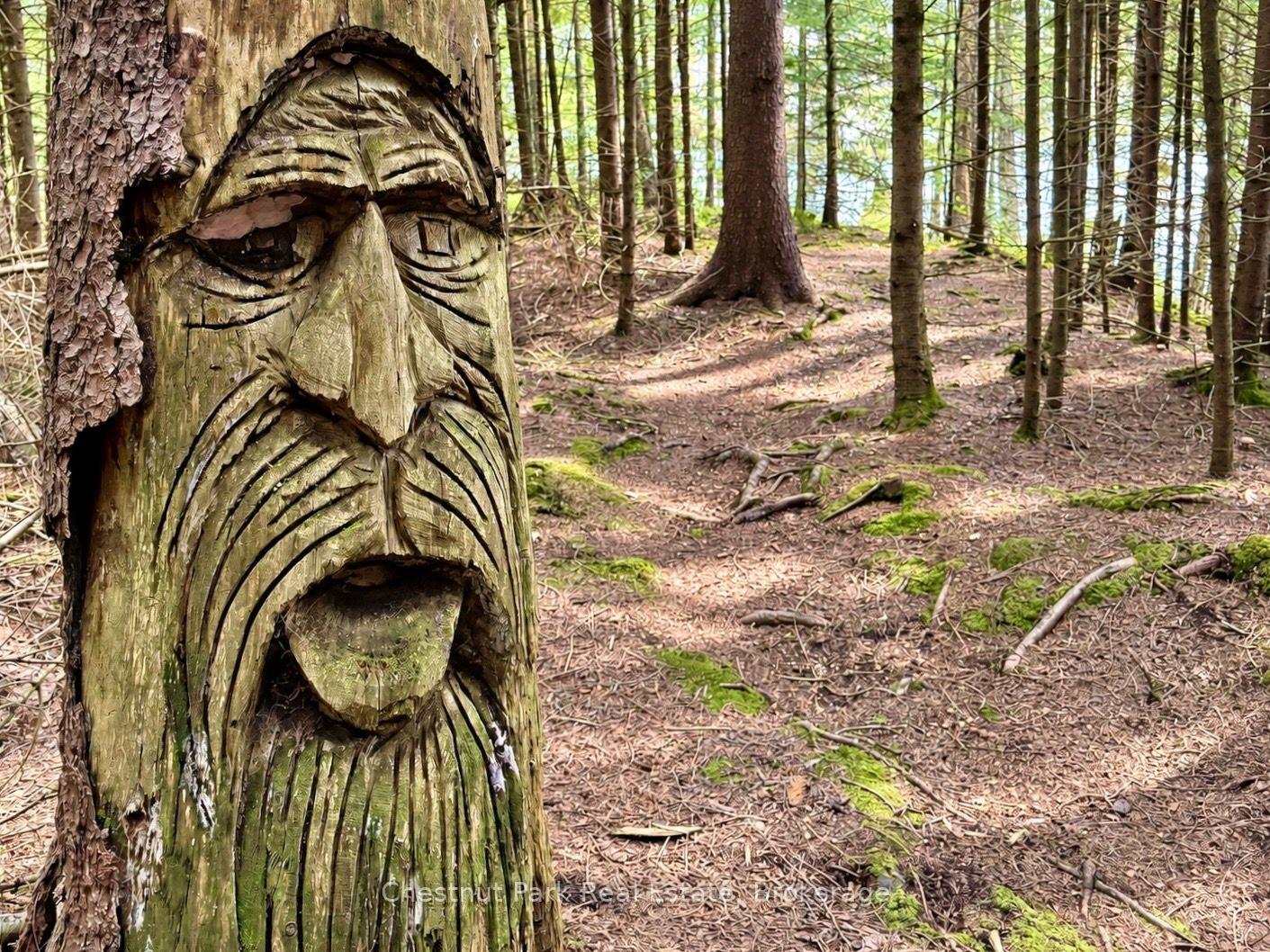 Carved wooden face on a tree trunk in a mossy forest with mature trees.