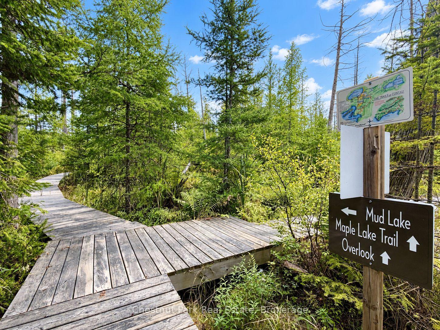 Boardwalk through a green forest beside signs for Mud Lake, Maple Lake Trail and the Overlook.