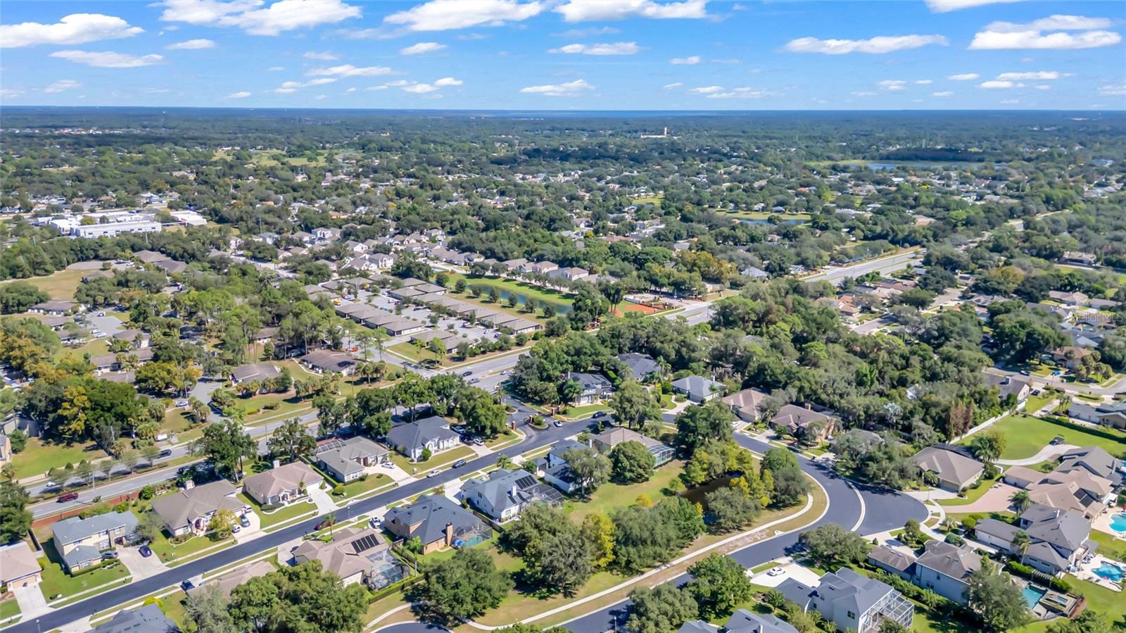 Aerial view of a leafy neighborhood with detached homes and curving streets.