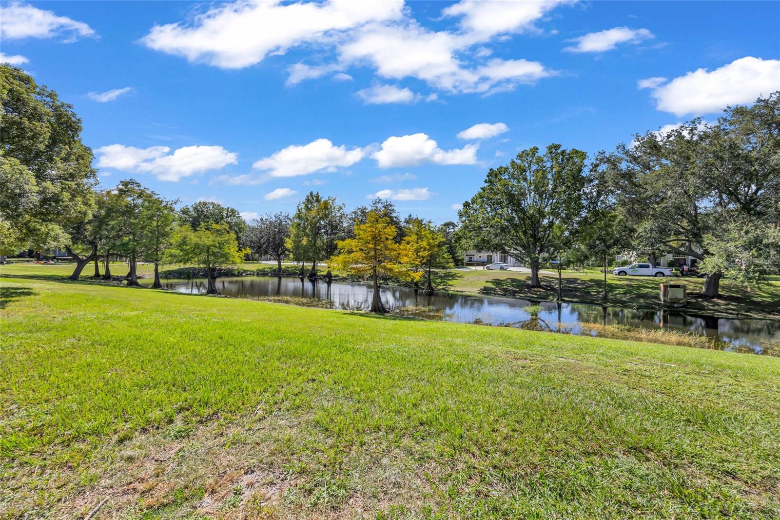 Neighborhood pond bordered by a broad grassy bank and mature trees.