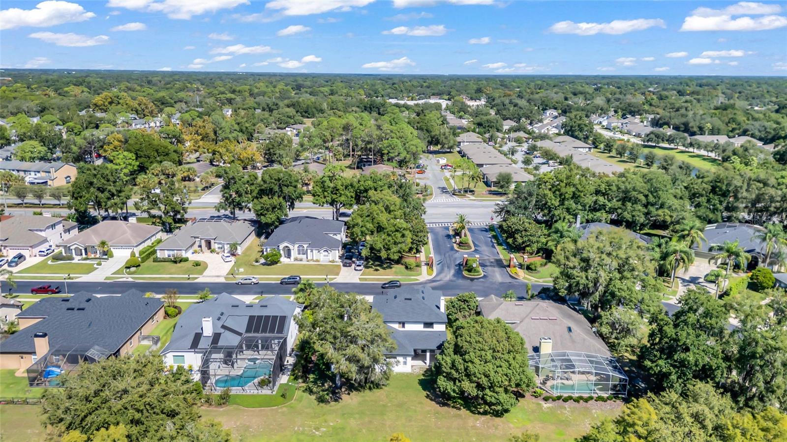 Aerial view of a leafy neighborhood with detached homes, backyard pools, and a residential street.