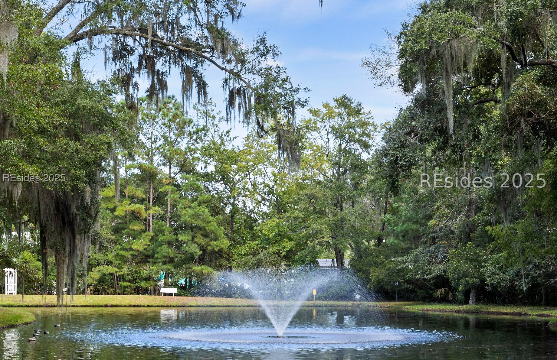65 River Tree Circle