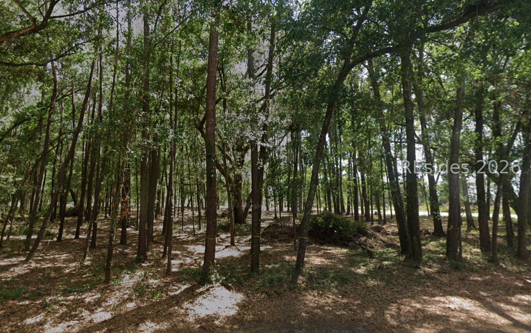 6008 Green Pond Drive