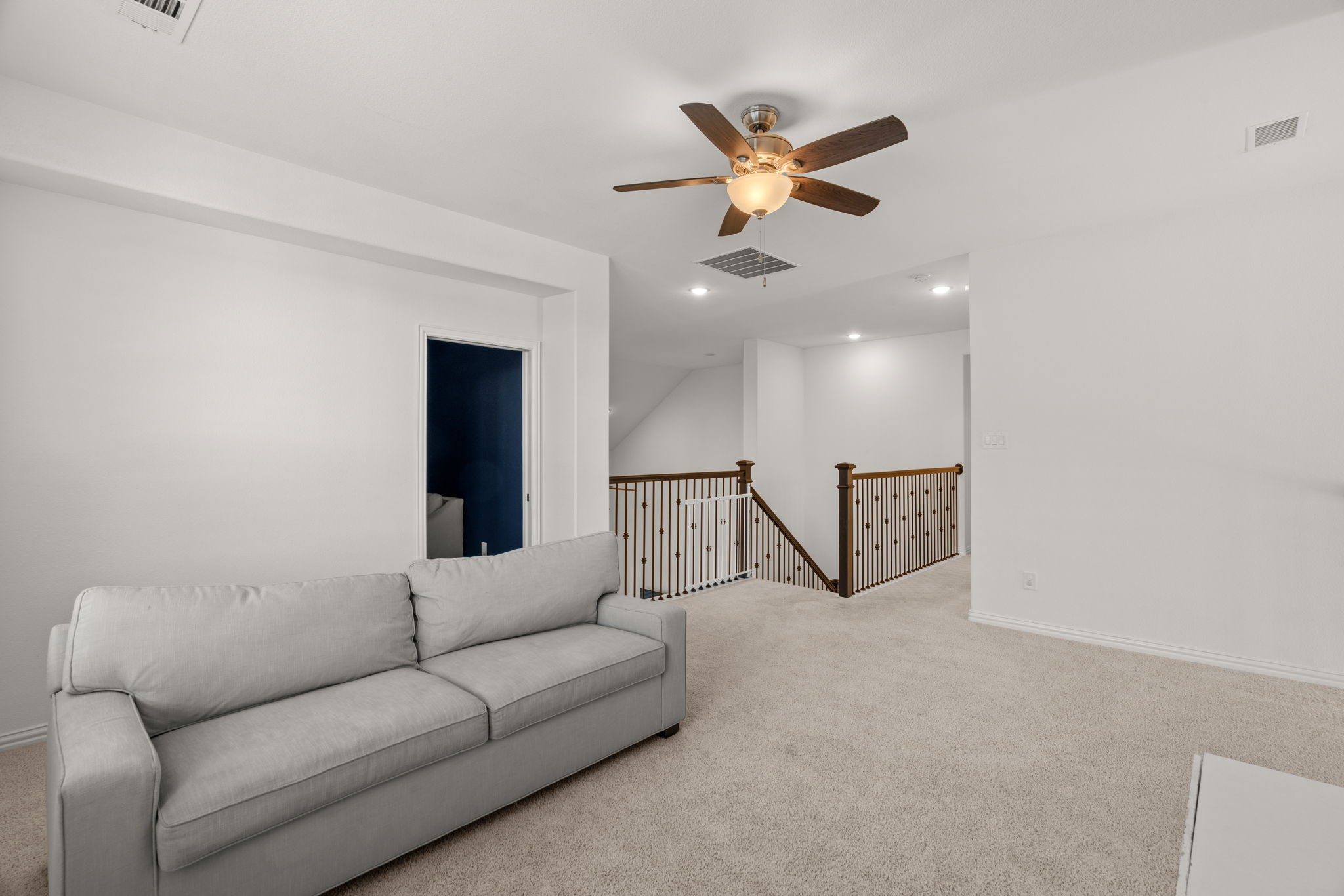 1217 Armadillo Trail