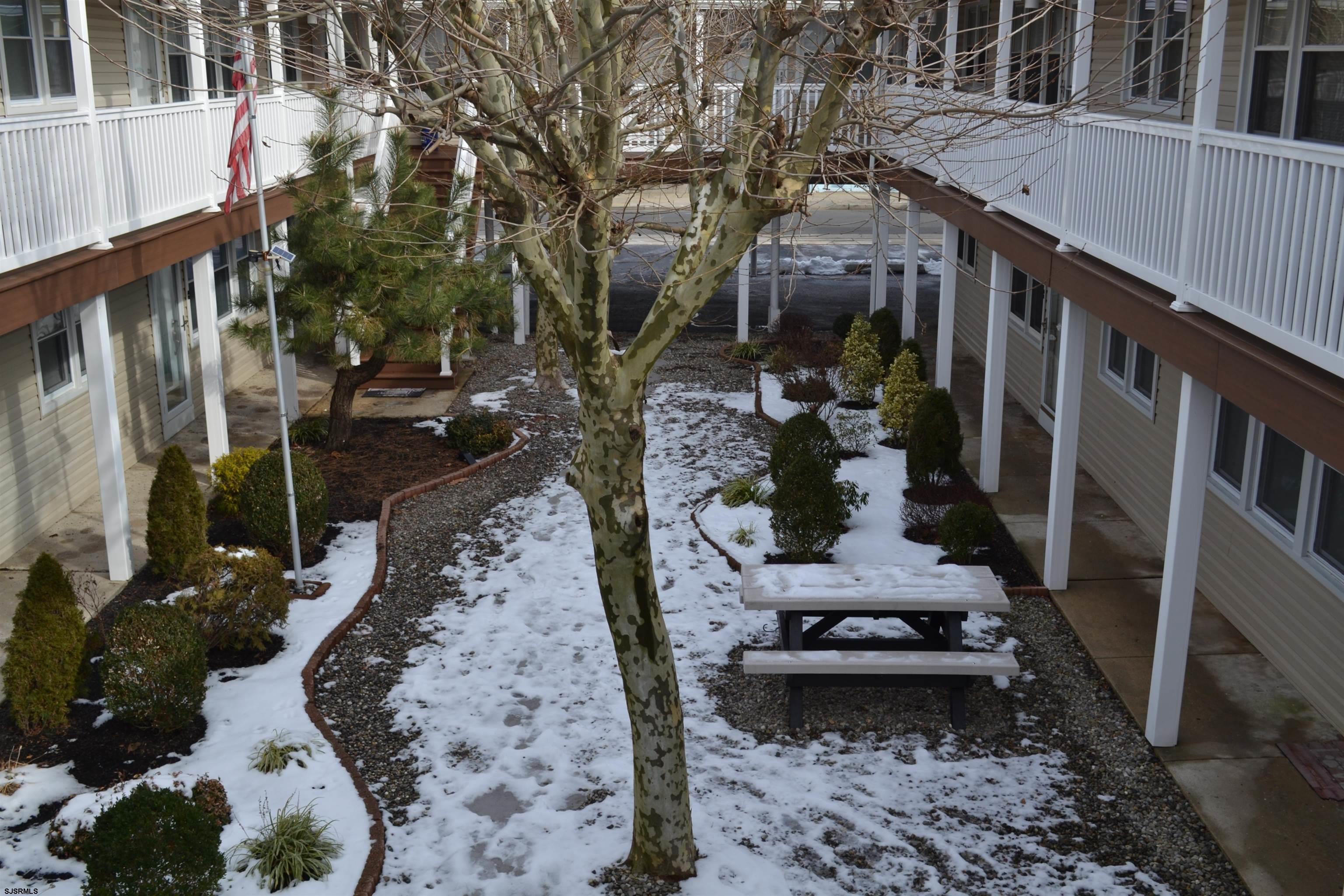 6 N Newport Unit: B4