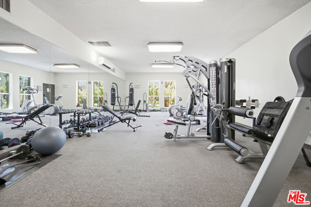 23515 Lyons Avenue 233