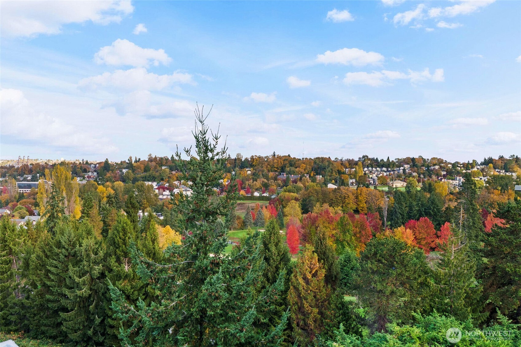 3221 SW Avalon Way Unit: 207