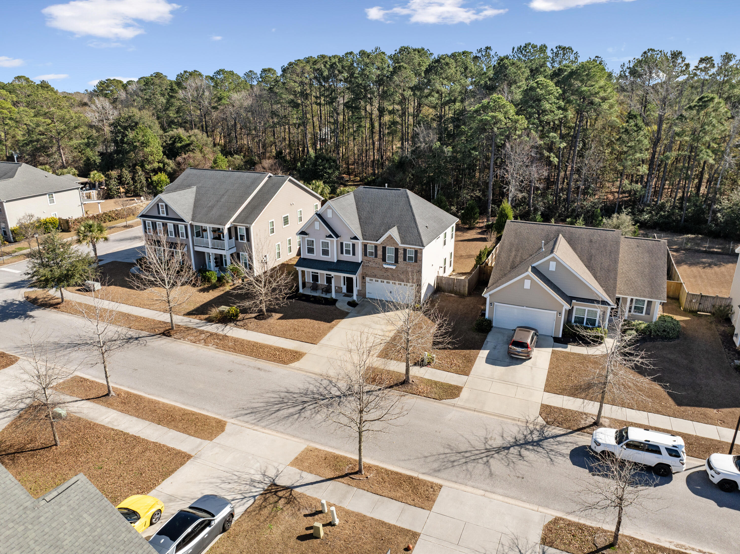 3217 Arrow Arum Drive