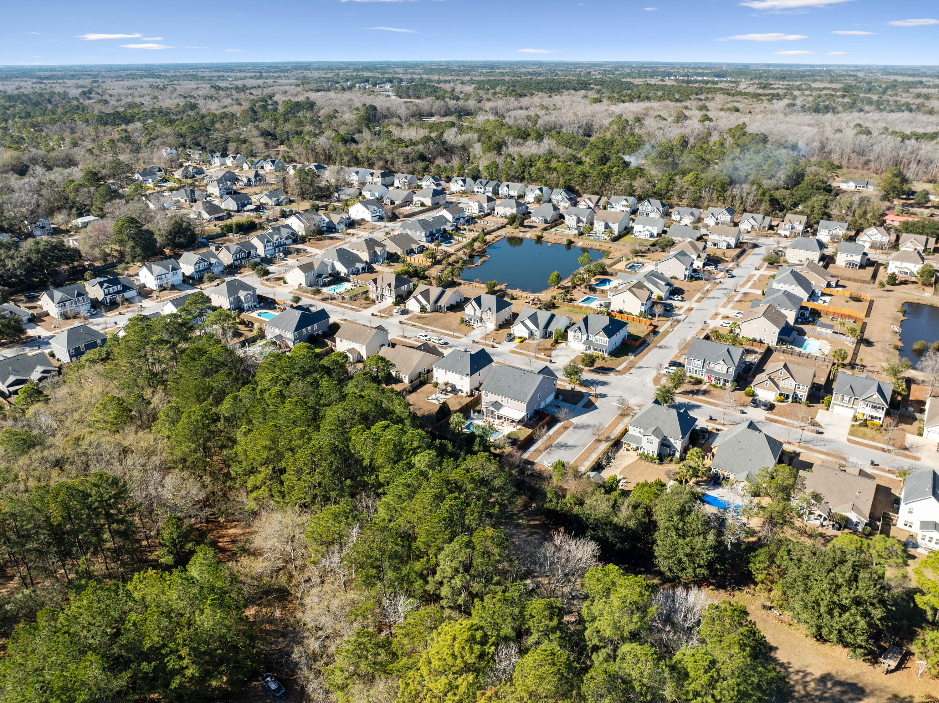 3217 Arrow Arum Drive