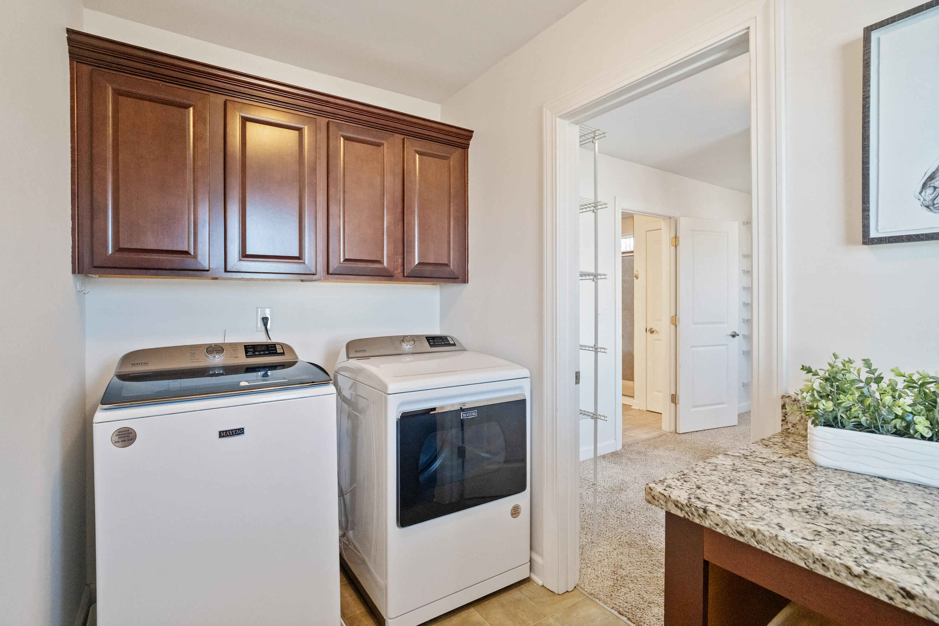 3217 Arrow Arum Drive