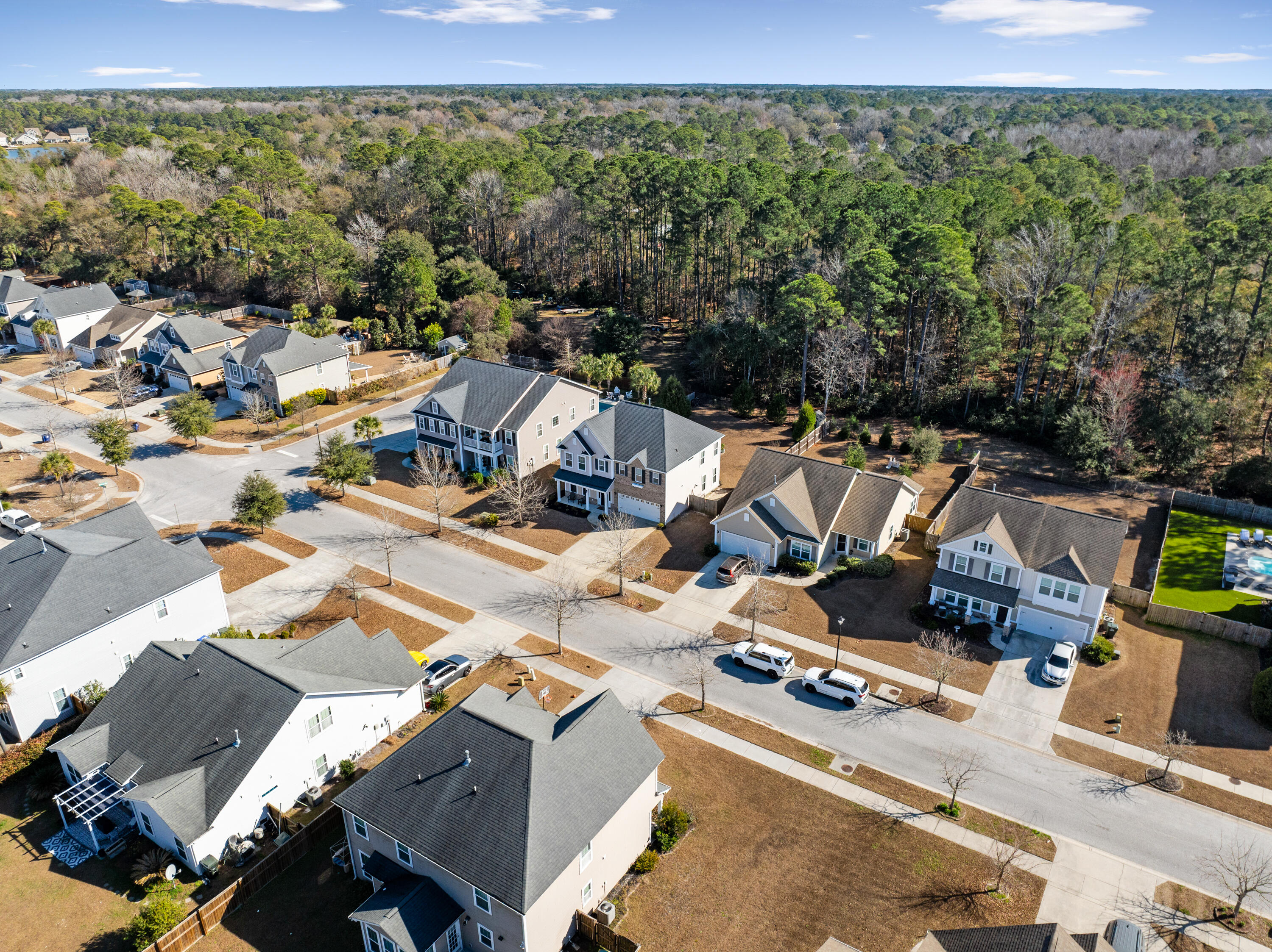 3217 Arrow Arum Drive