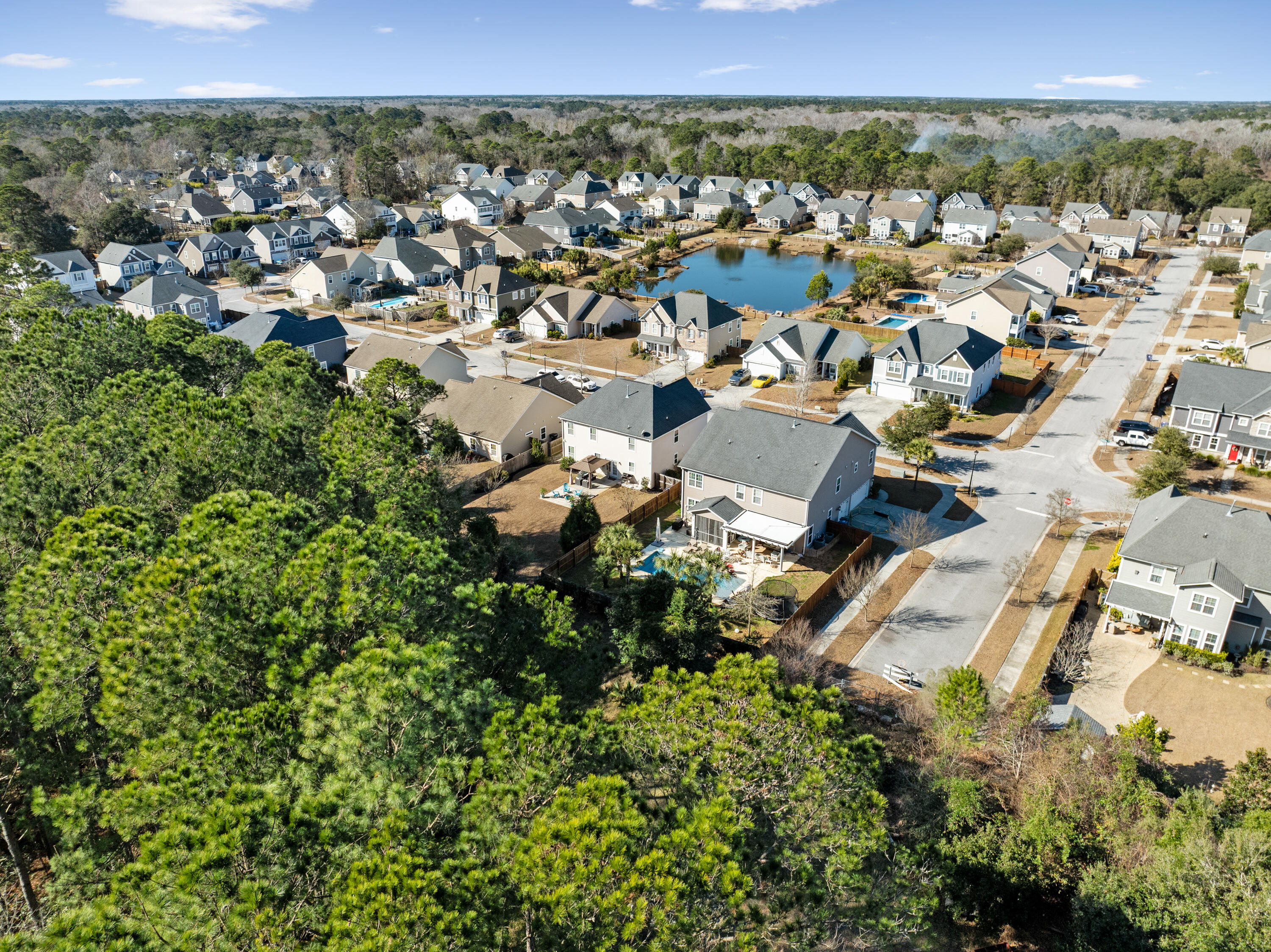 3217 Arrow Arum Drive