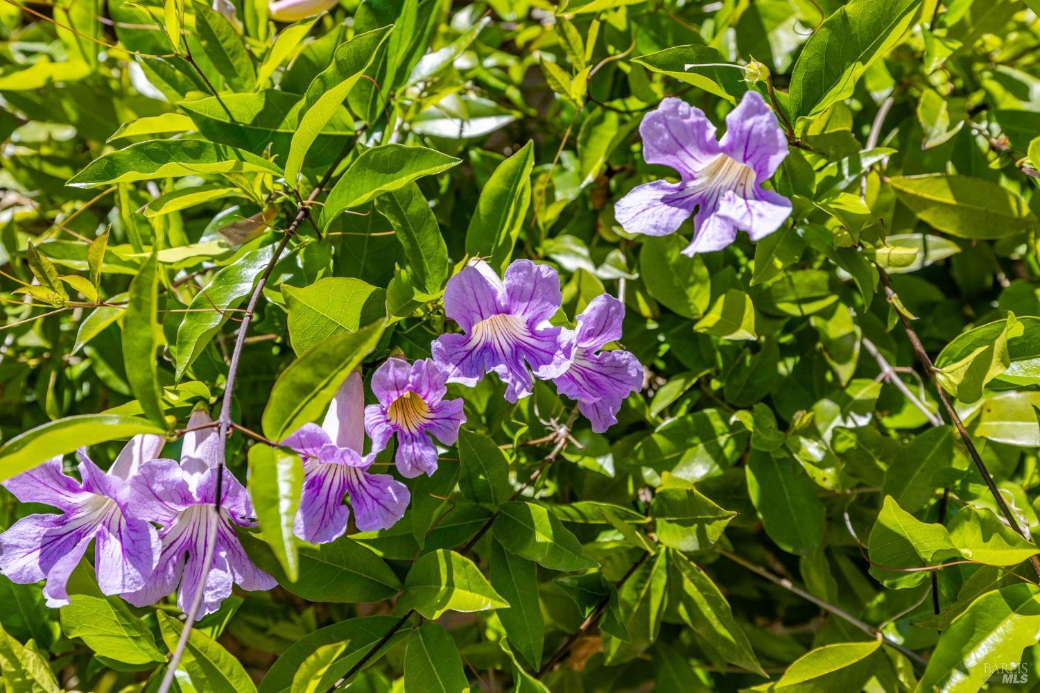 204 Foss Creek Cir #A