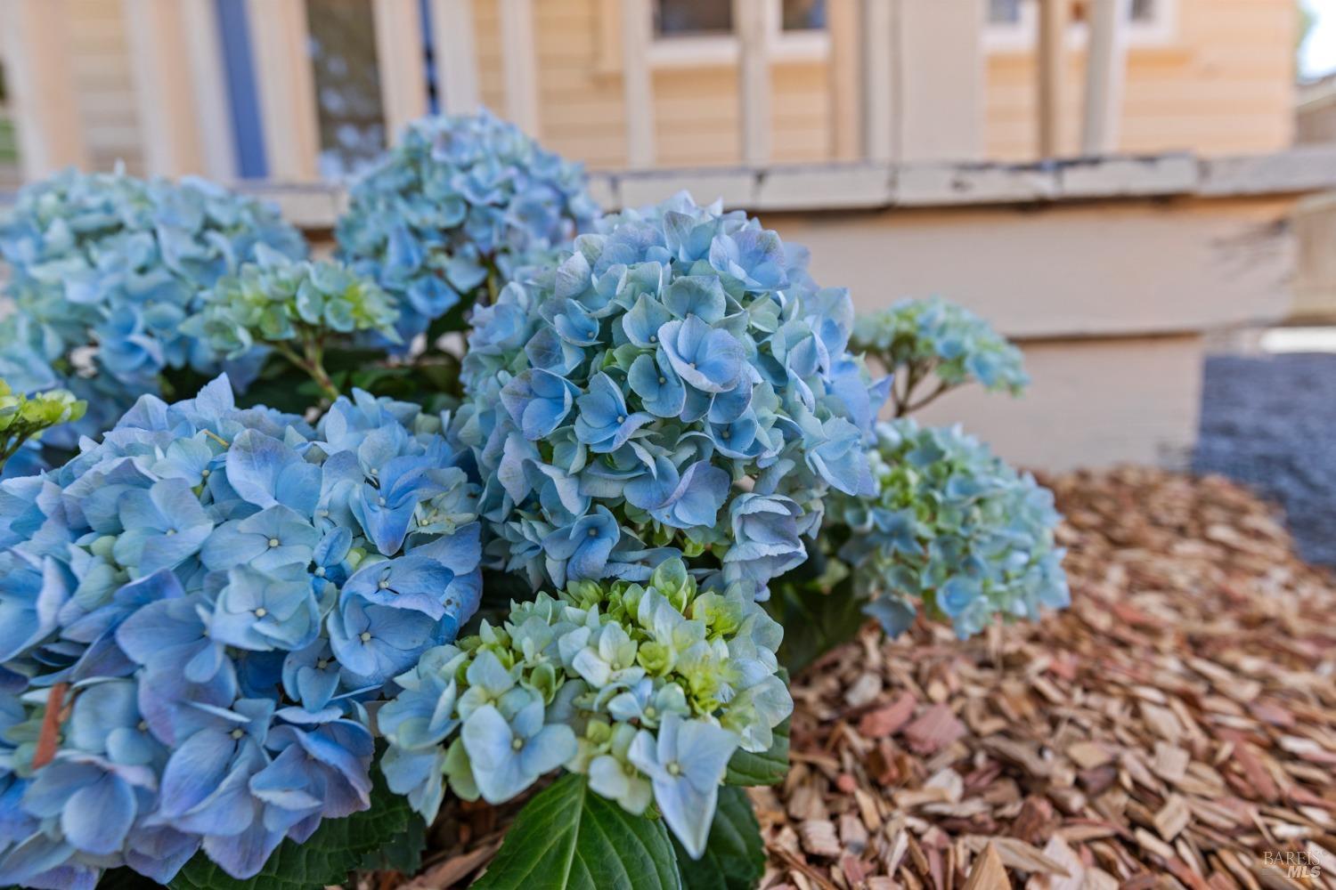 808 Bennett valley Rd