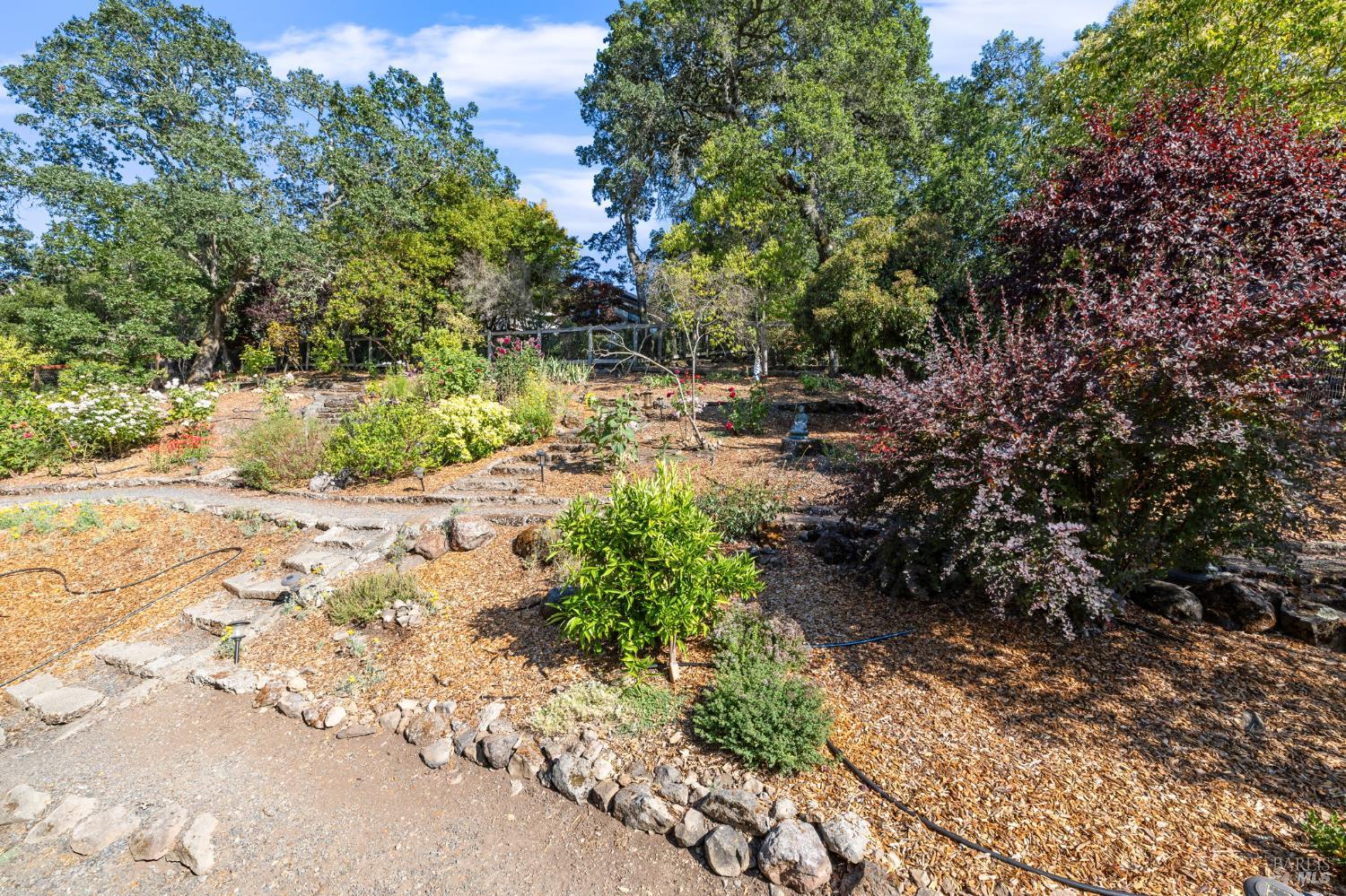 3541 Foxwood Pl