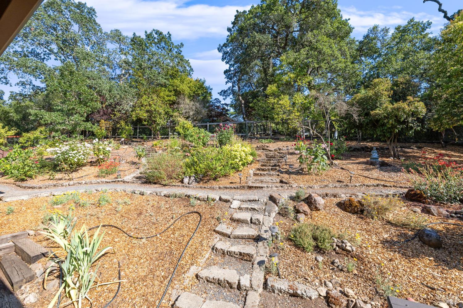3541 Foxwood Pl