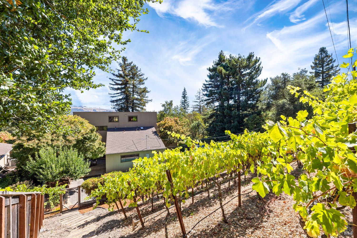 4795 Ponderosa Dr