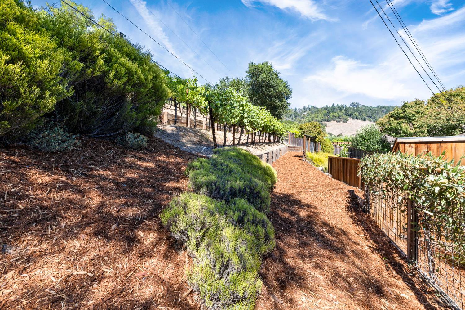 4795 Ponderosa Dr