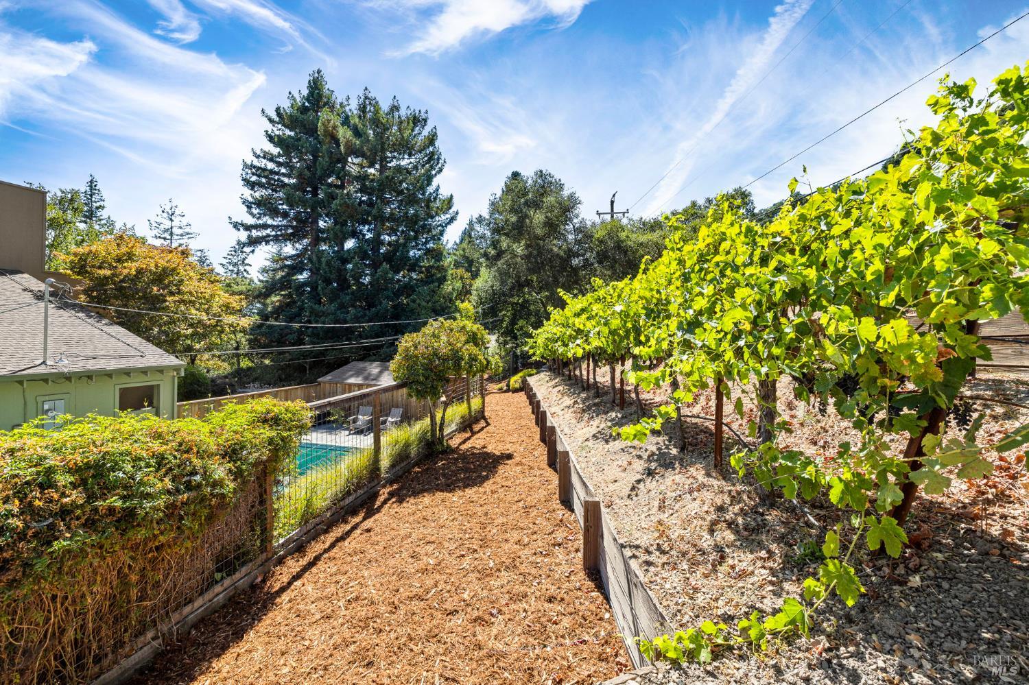 4795 Ponderosa Dr