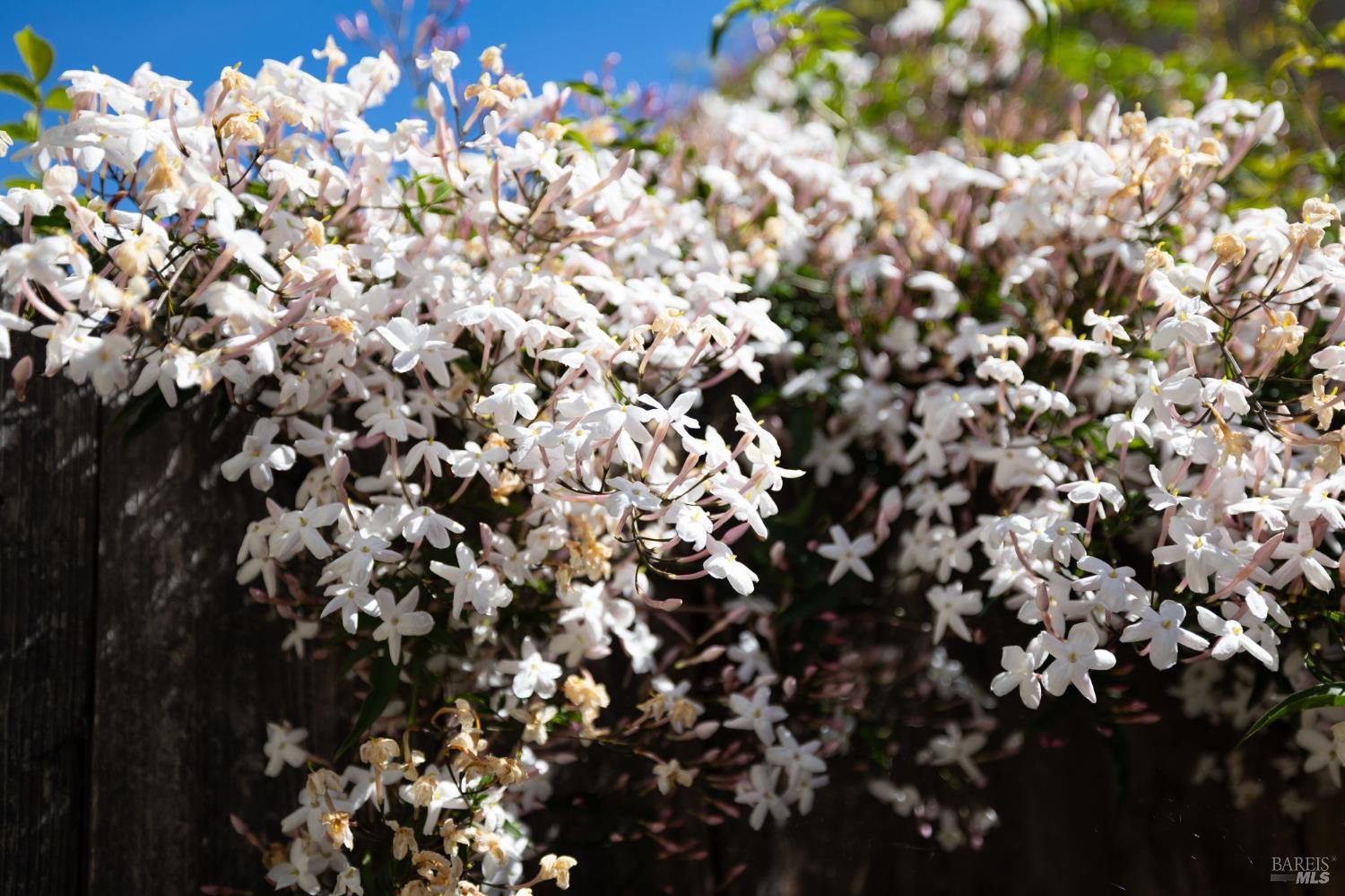 300 Stony Point Road Unit: #139