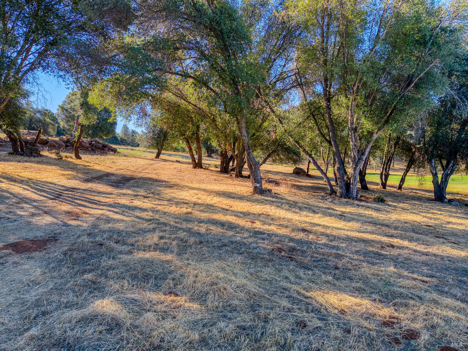 19933 Powder Horn Road