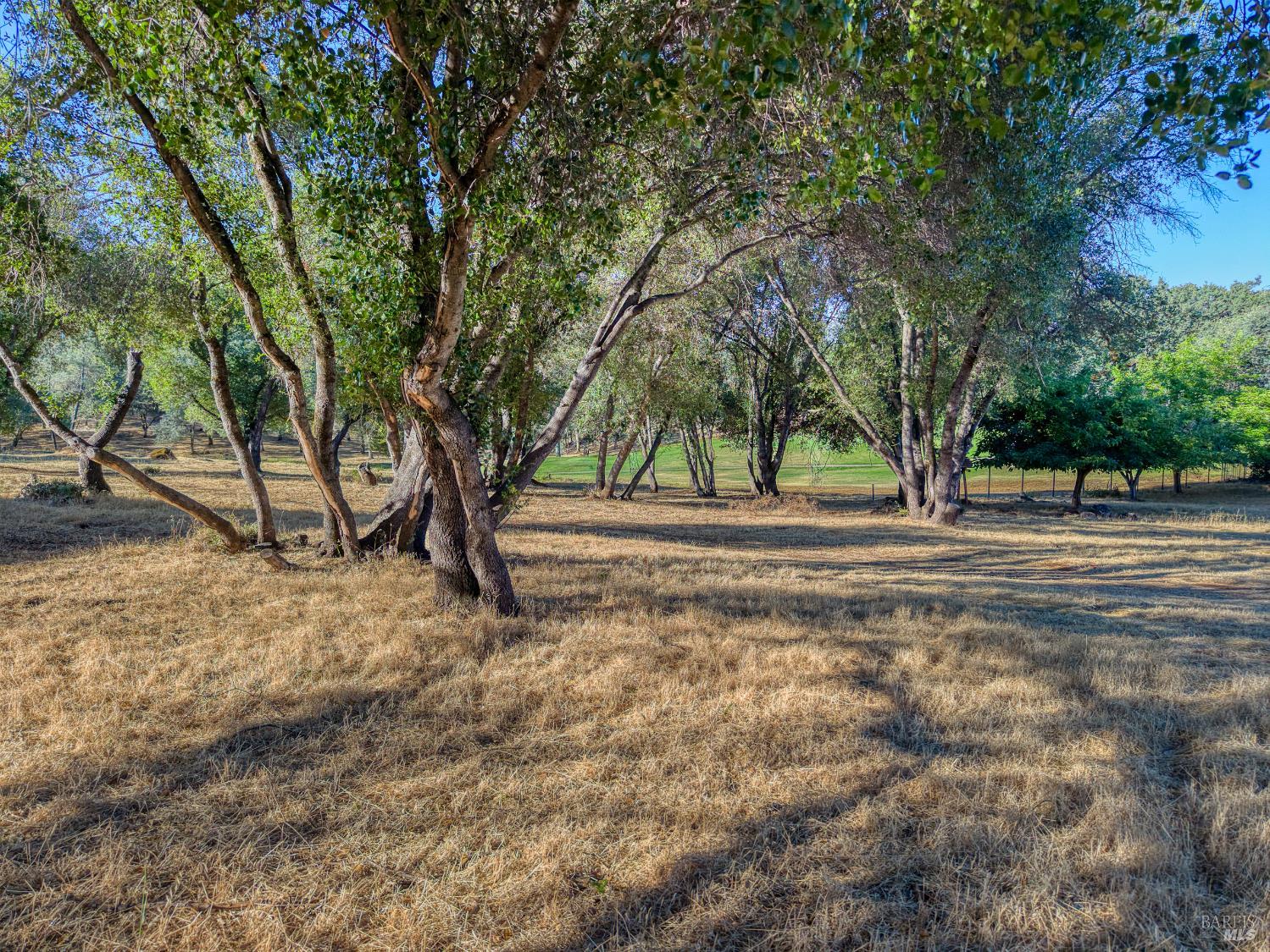 19933 Powder Horn Road