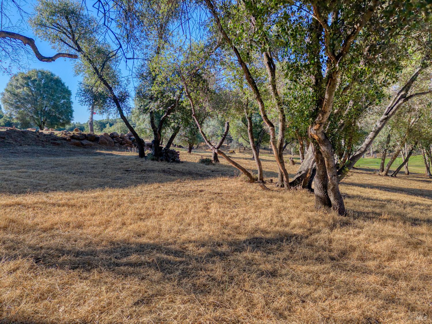 19933 Powder Horn Road
