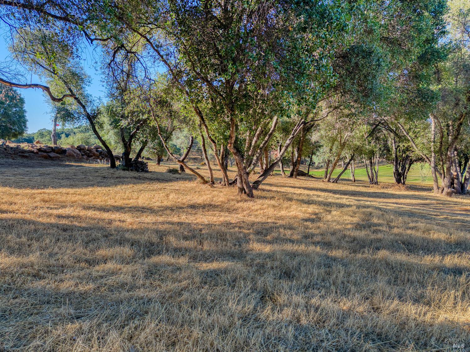 19933 Powder Horn Road