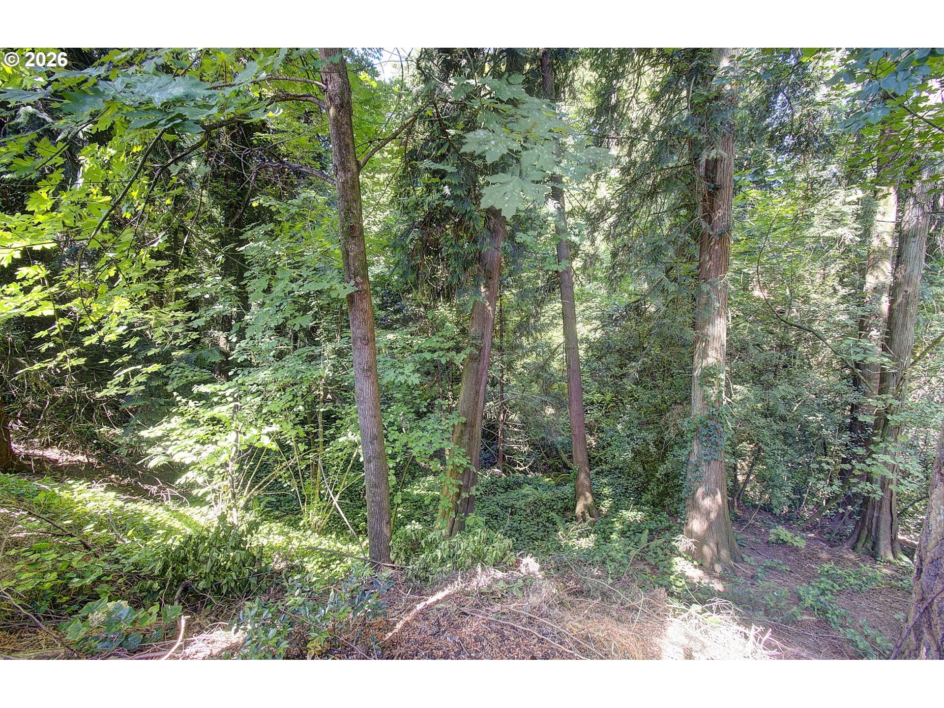 16165 SW COPPER CREEK DR