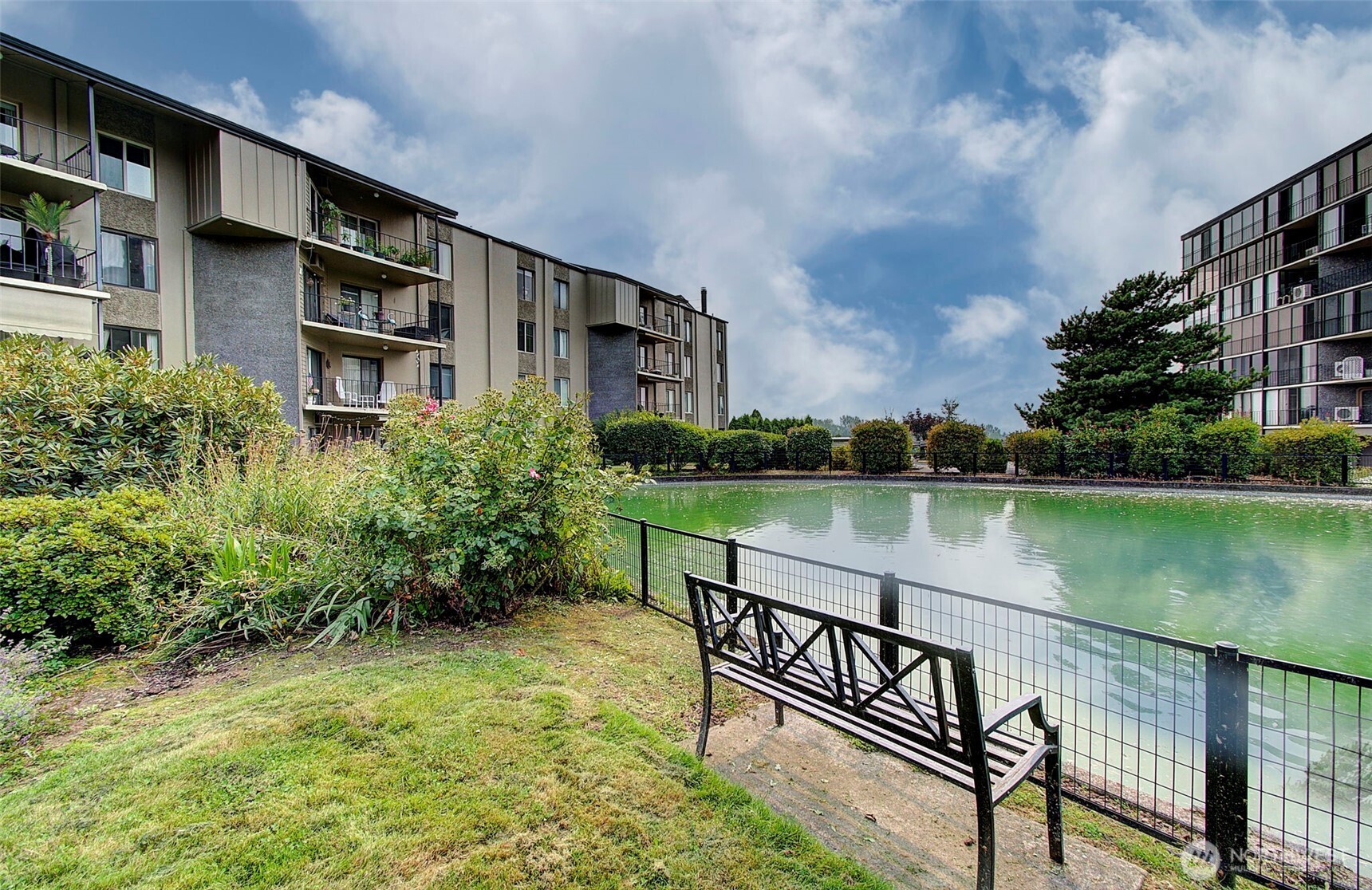 Apartment buildings beside a landscaped pond, with a black bench and shrubs along the water.