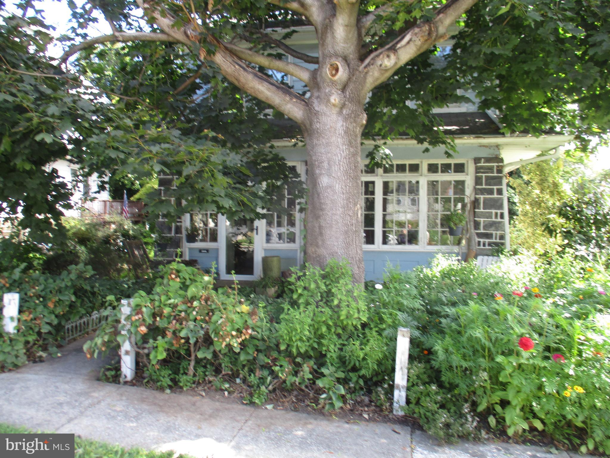 117 Foster Ave