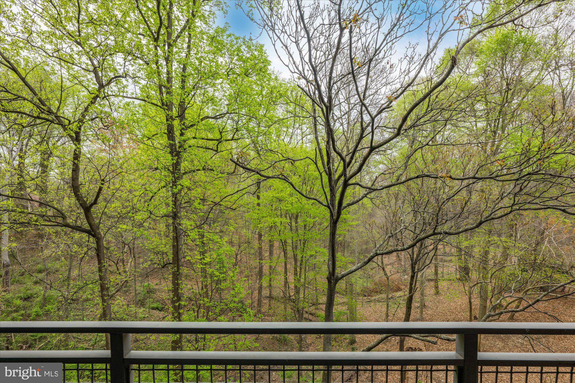 3883 Connecticut Ave NW #208