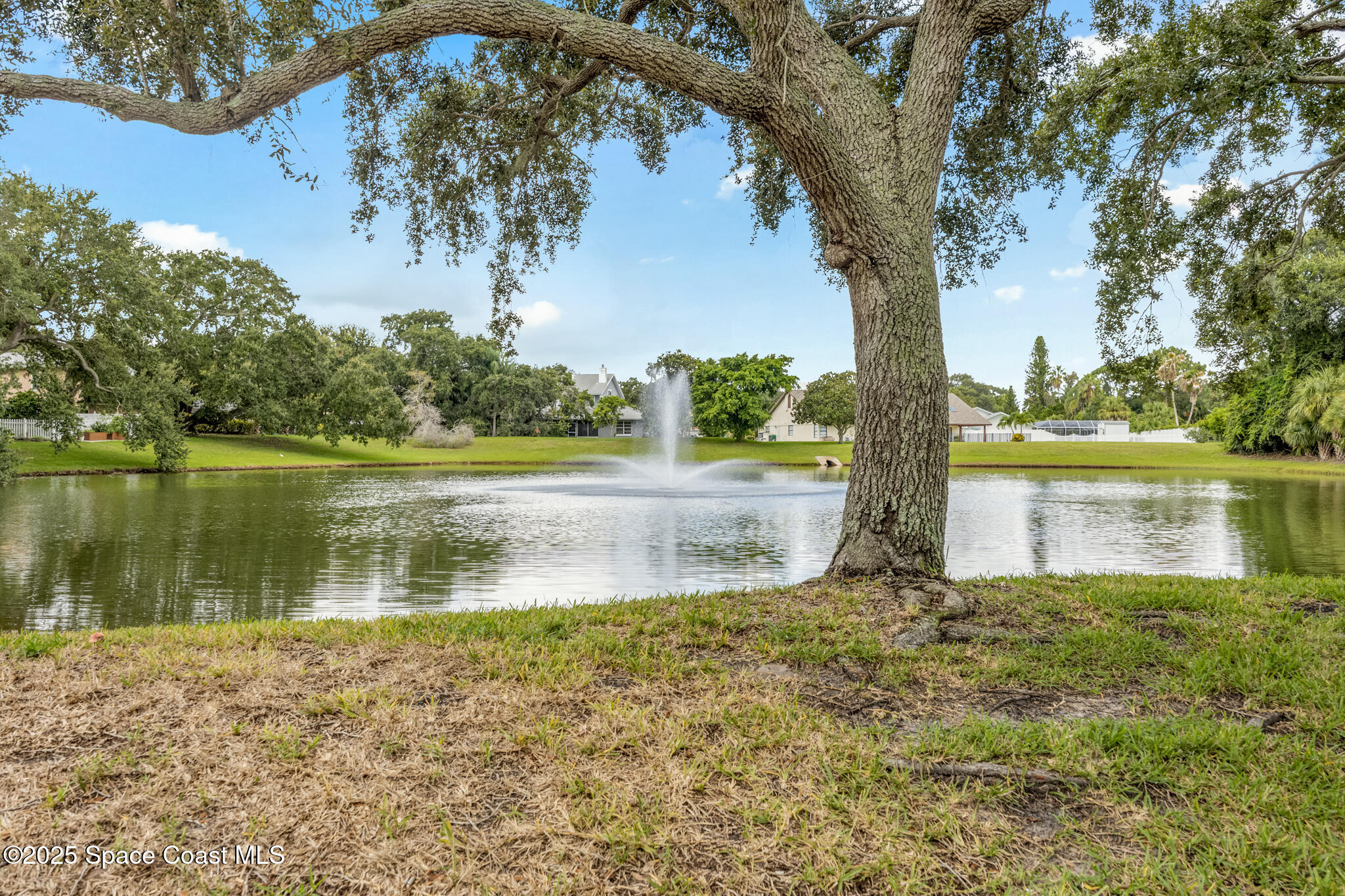 1005 Old Parsonage Drive