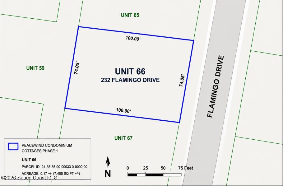 232 Flamingo Drive