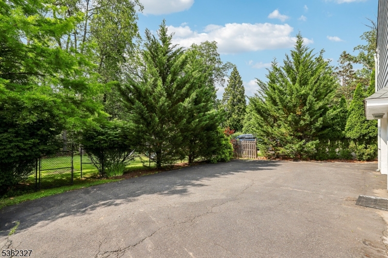 55 Ferndale Rd