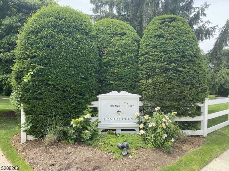 349 Bloomfield Ave, UNIT 60 60