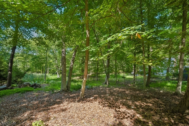 46 Stocker Rd