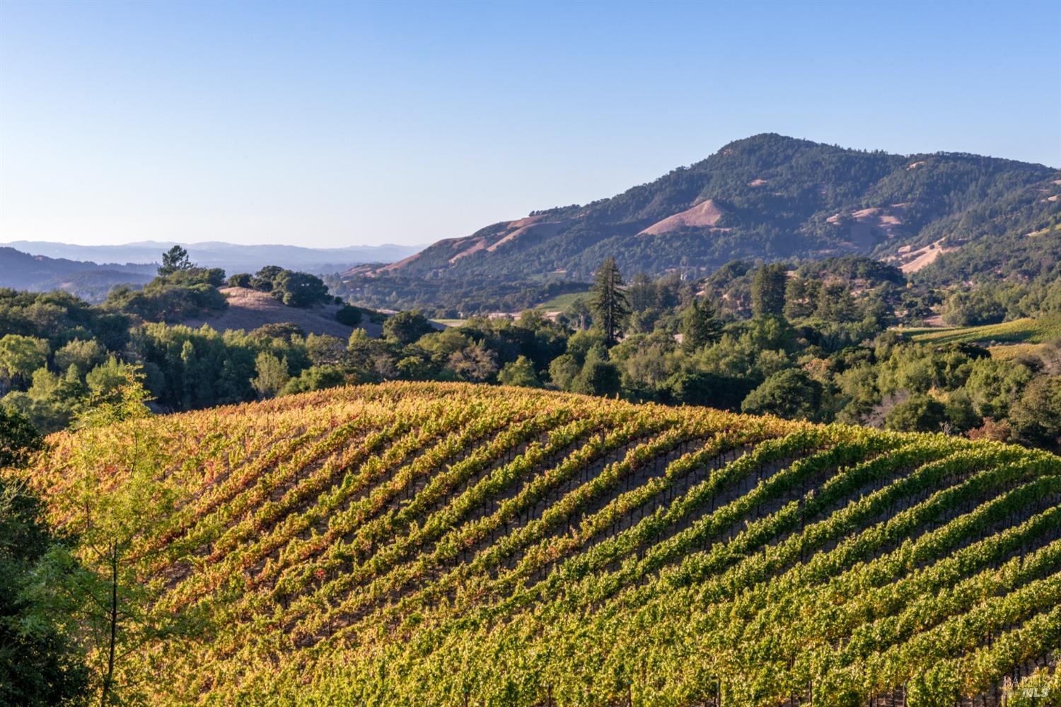 3763 Matanzas Creek Ln